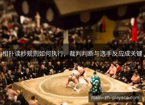 相扑读秒规则如何执行，裁判判断与选手反应成关键